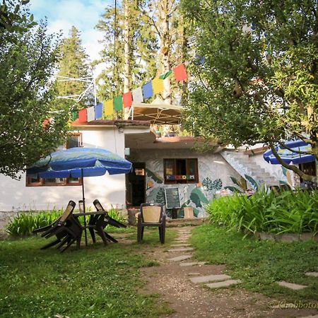 Hotel Freedom Cafe Kalgha Zewnętrze zdjęcie